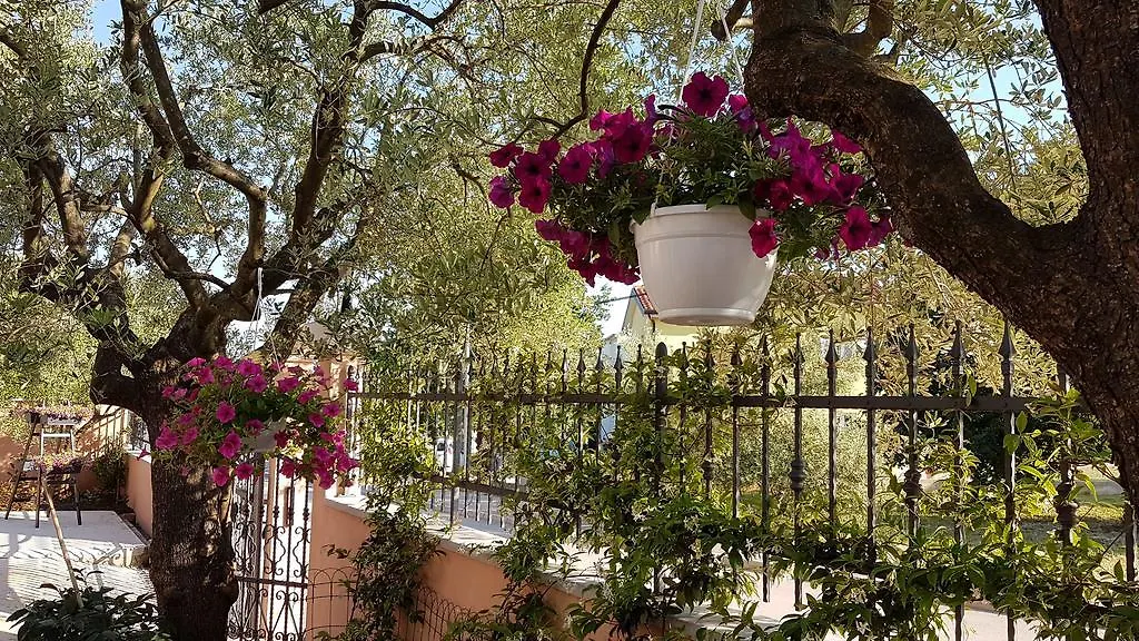 Apartments Santos Vrsar Kroatië