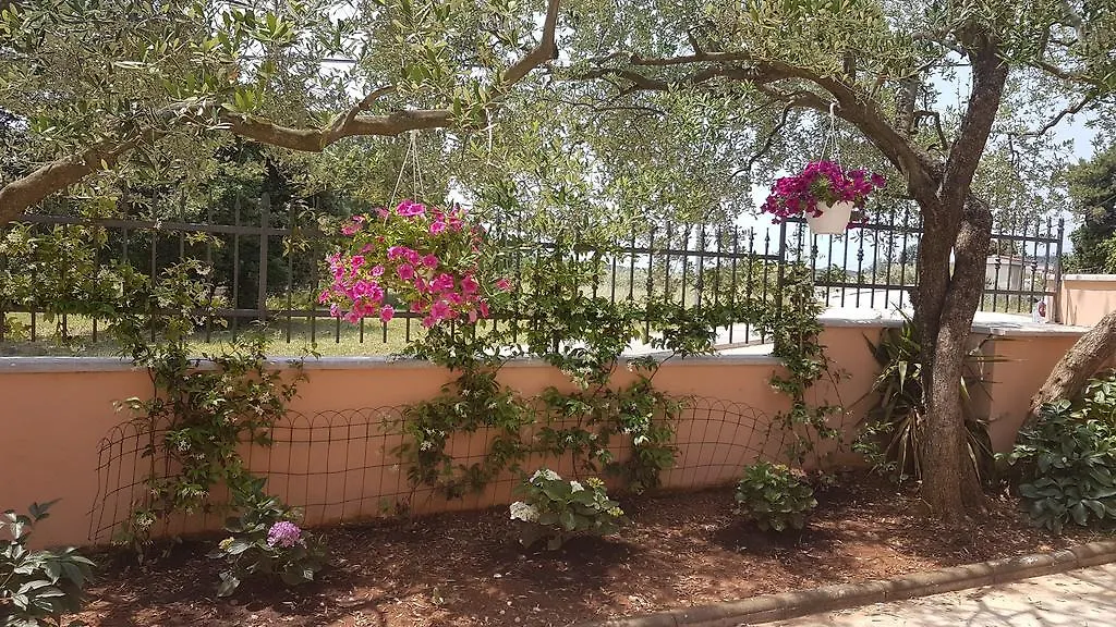 Apartments Santos Vrsar